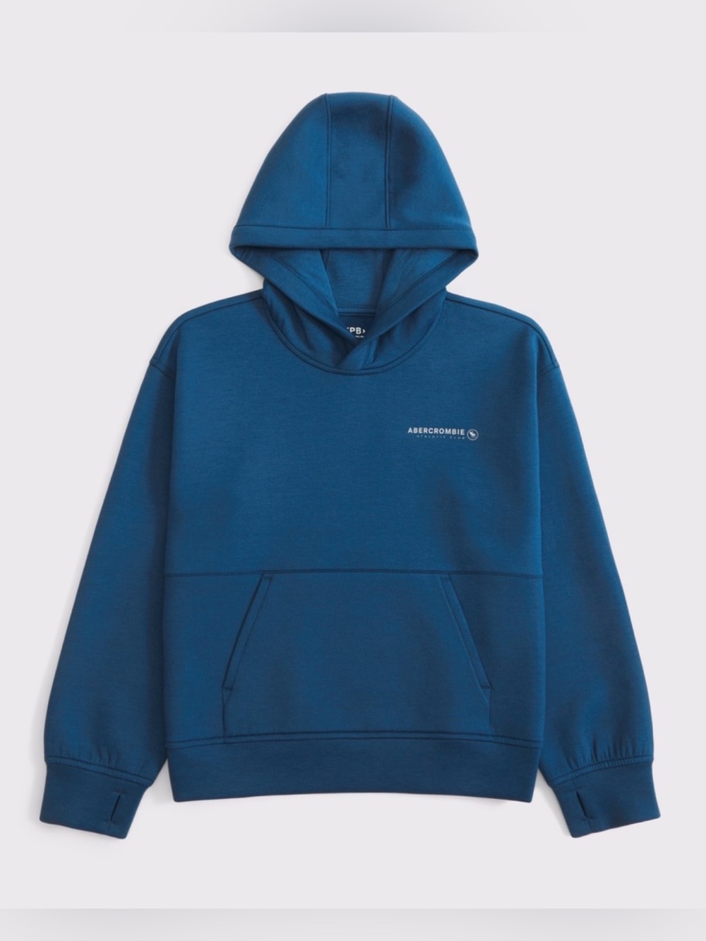 Abercrombie & Fitch ypb neoknit logo popover hoodie Sweatshirt 5/6